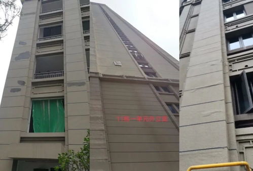 長沙一房產公司被指房屋品質差 林變竹林 下雨可劃船