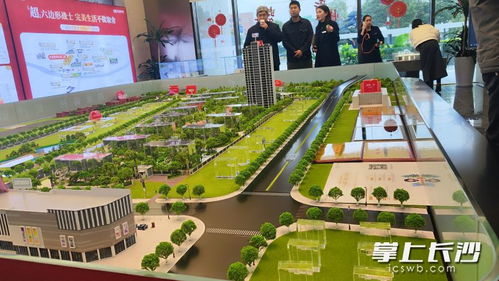 4月份長沙樓市供應放量 毛坯房源增多,購房選擇更多元