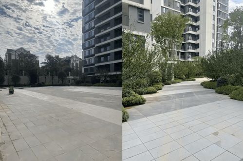 長沙年中交付 大考 ,誰是交出滿意答卷的 優等生