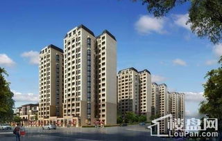 墅區小高層4999元 平起