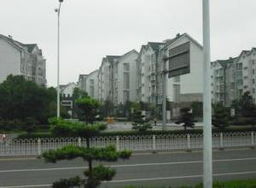 ,長沙市岳麓區(qū)租房 長沙城市房產(chǎn)