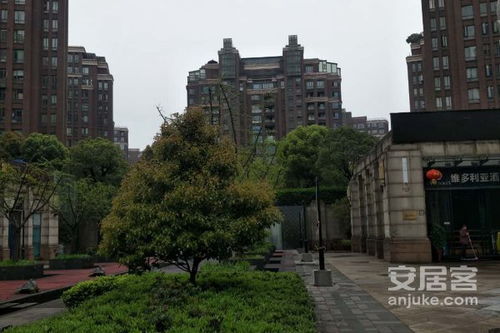 長沙奧林匹克花園優(yōu)點(diǎn) 不足,長沙奧林匹克花園怎么樣,長沙奧林匹克花園周邊房產(chǎn)中介經(jīng)紀(jì)人評價(jià)