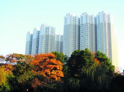 從 營(yíng)銷(xiāo)時(shí)代 到 產(chǎn)品時(shí)代