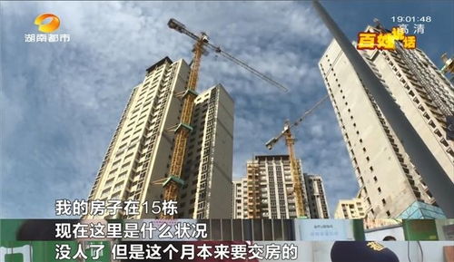 臨近交房,公共區域 差得遠 ,業主 新房何時能交付